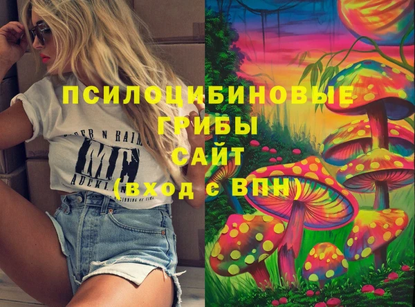 индика Карталы