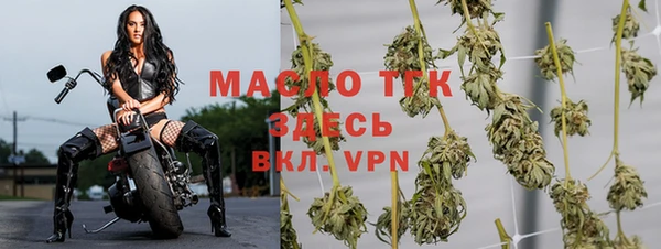 дмт Каменск-Шахтинский