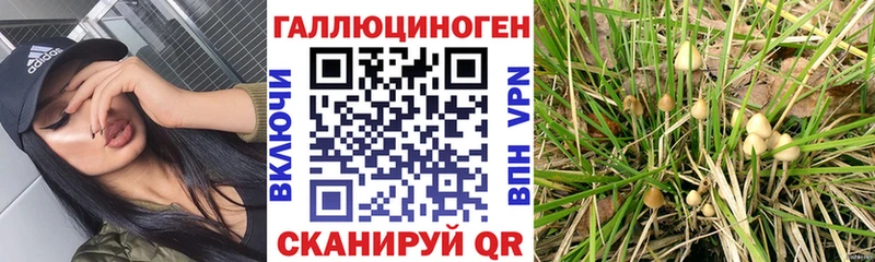 где продают   Орехово-Зуево  Галлюциногенные грибы GOLDEN TEACHER 